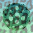 DiscoIsOneStepAway