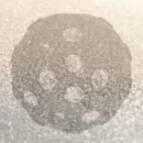 DiscoUndercover