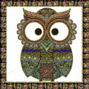baykuÅŸ