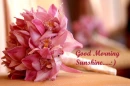 good morning