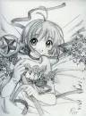 sakura