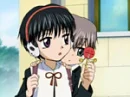 yoichi and hotaru of gakuen alice