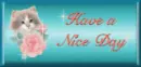 have a nice day