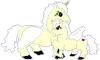 horses