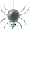 bug