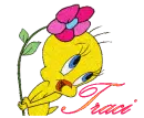Traci