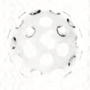 DiscoDumpling