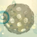 DiscoALittleWhile