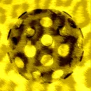 DiscoRhapsody