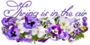 Spring is in the air, Flowers, Seasons