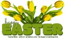 happy Easter, flowers, holidays