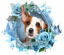 BestFriends-Dog-Fran