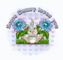 Some Bunny