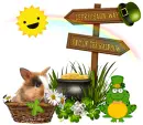 St Pats Day