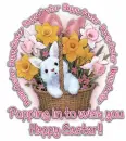 Poppin' In Bunny