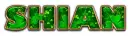 ST PATRICKS DAY SHIAN TEXT
