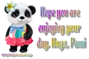 Panda Bear - Pami