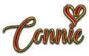 THE HEART OF EVERYTHING CONNIE TEXT