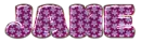 Purple flowers  