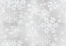 Winter Snowflake Glitter