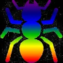 Ant