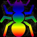 Ant