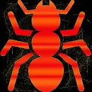 Ant