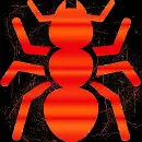 Ant
