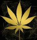 weed leaf gold