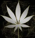weed leaf silver
