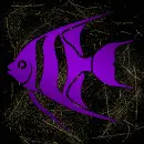 Angelfish 