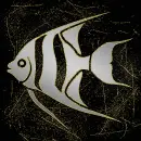 Angelfish silver gold