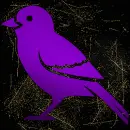 bird purple gold