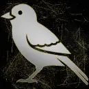 bird silver gold