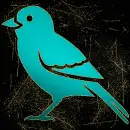bird teal gold