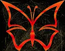 butterfly orange 