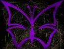 butterfly purple gold