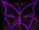 butterfly purple goldpurple