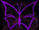 butterfly purple pink