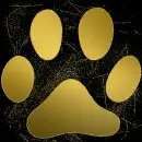 cat paw gold gold