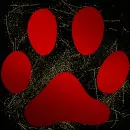 cat paw red gold