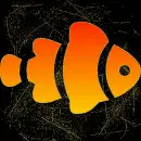 clown fish
