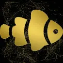 clown fish gold