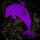 Dolphin purple gold