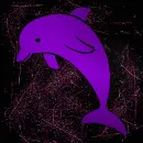 Dolphin purple pink
