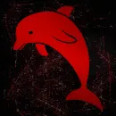 Dolphin red red