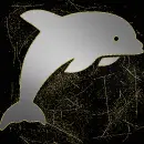 Dolphin silver gold