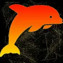 dolphin sunset gold