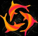 dolphins