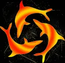 dolphins